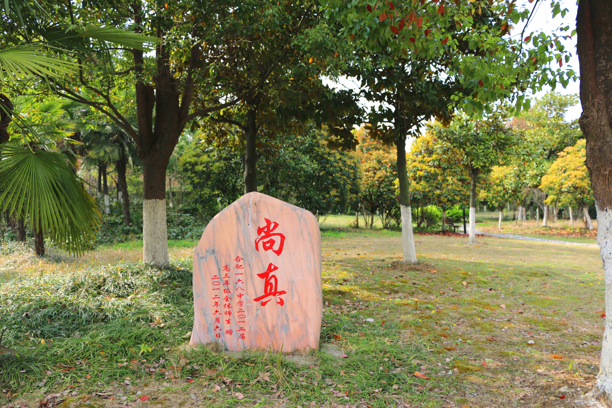 IMG_1851_看图王.jpg