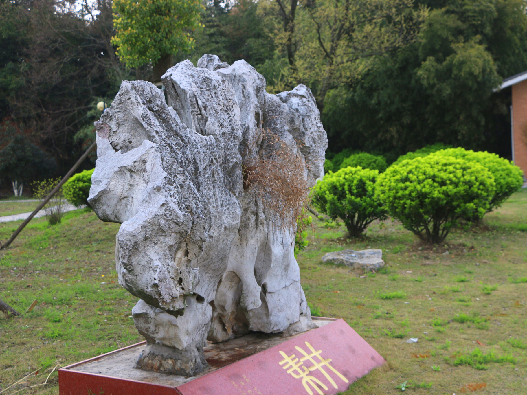IMG_1871_看图王.jpg