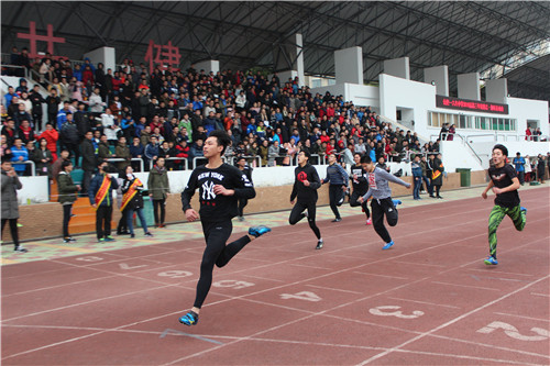 IMG_7601.jpg IMG_7601.jpg