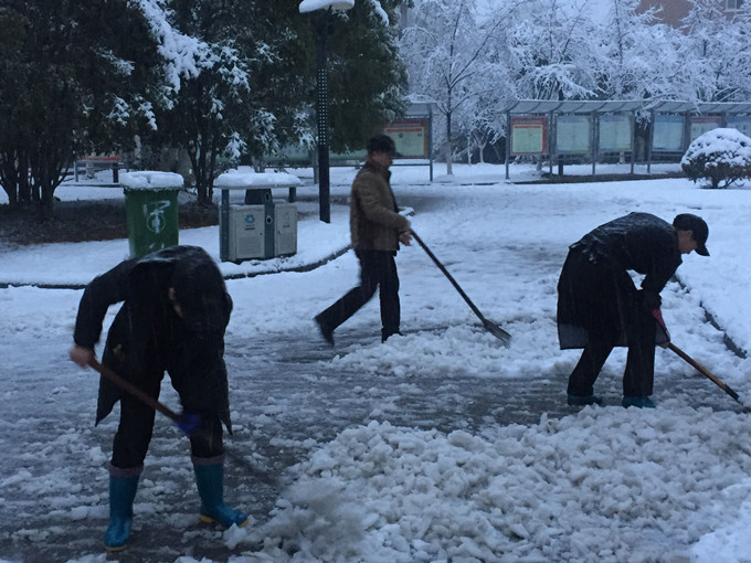 雪4_副本.jpg 雪4_副本.jpg