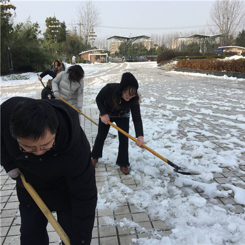 QQ图片20180108104704.jpg QQ图片20180108104704.jpg