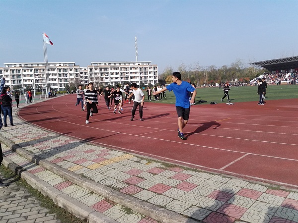 IMG_20181120_144028.jpg
