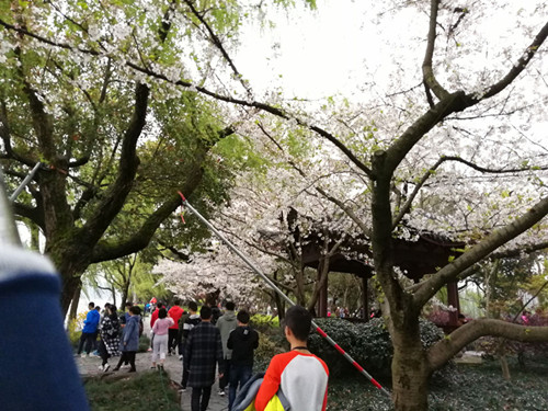 5D24B7239F8164421C69091203C3F12F.jpg 5D24B7239F8164421C69091203C3F12F.jpg