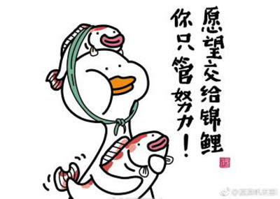 锦鲤.jpg