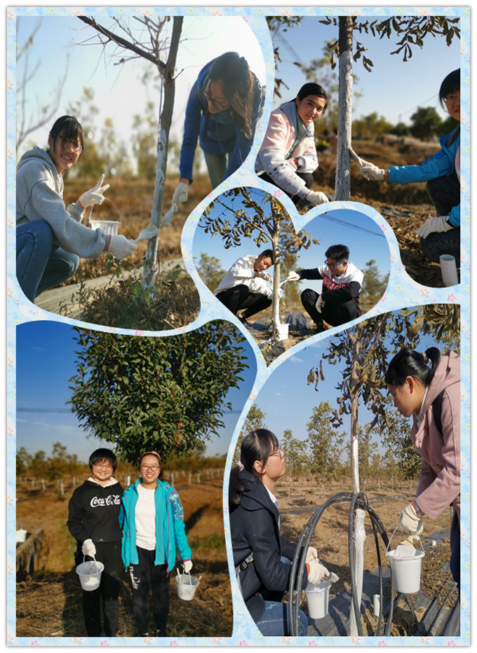 QQ图片20191121102258_副本.jpg
