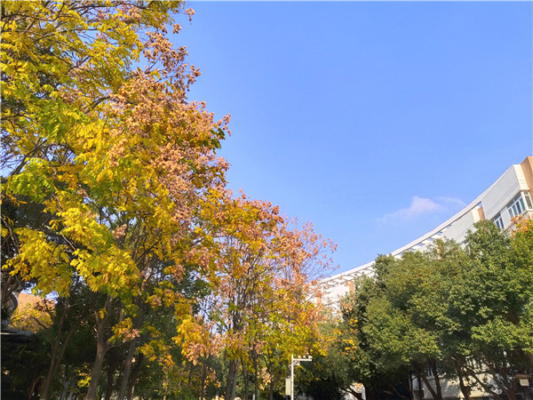 IMG_20191206_102704.jpg IMG_20191206_102704.jpg