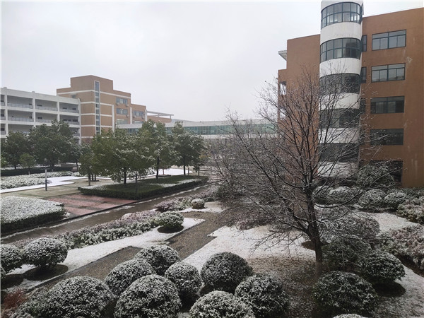 IMG_20200109_082354.jpg IMG_20200109_082354.jpg