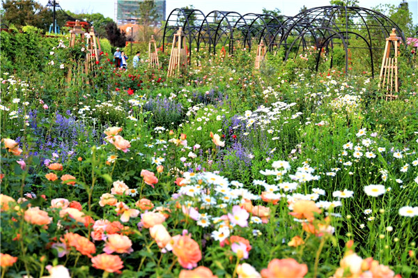 2 可提供为学生提供美育、劳育等的星球花园.jpg