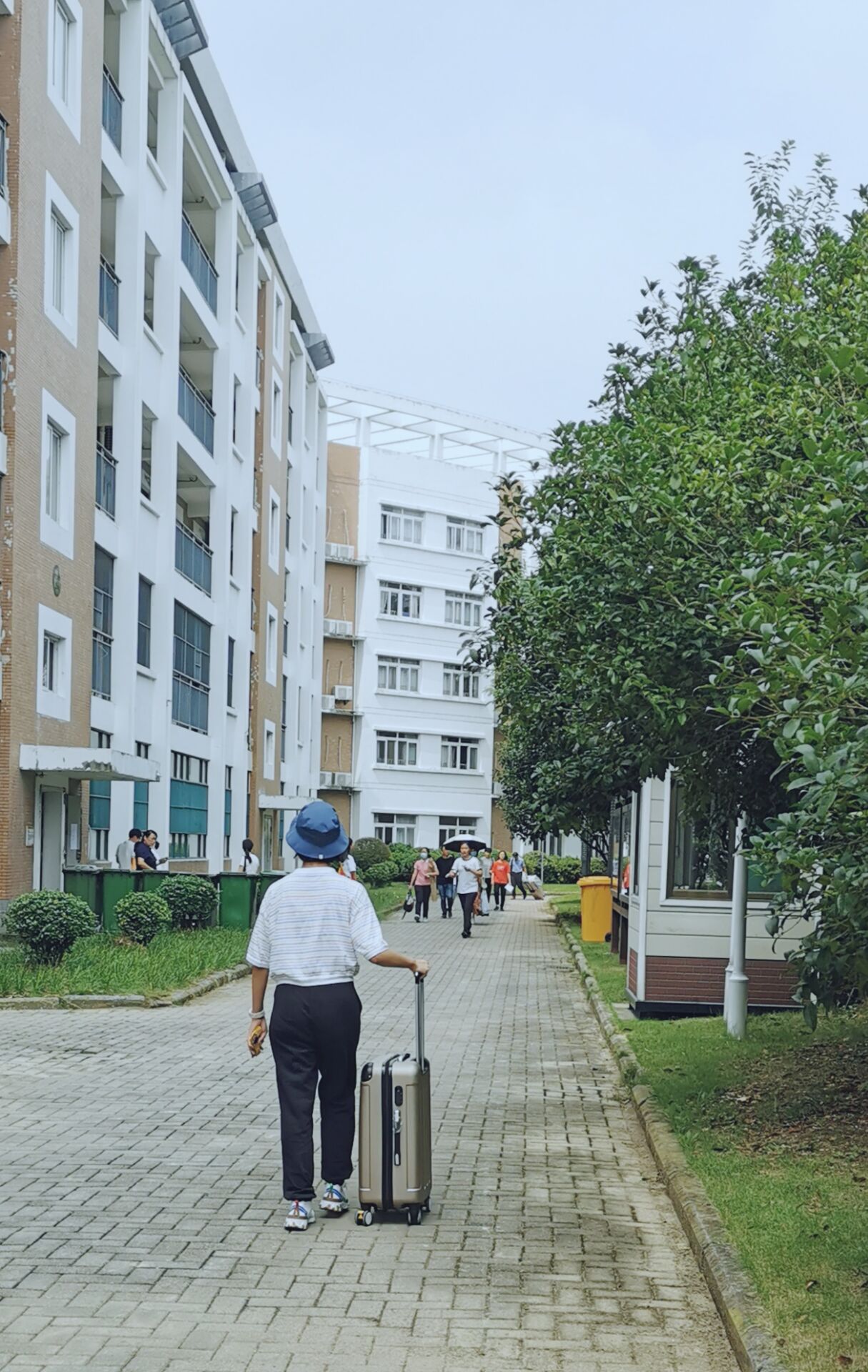 QQ图片20200825143052.jpg QQ图片20200825143052.jpg