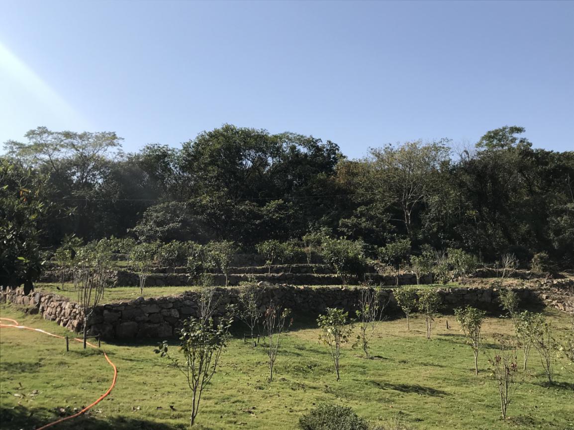 图片2.jpg 图片2.jpg