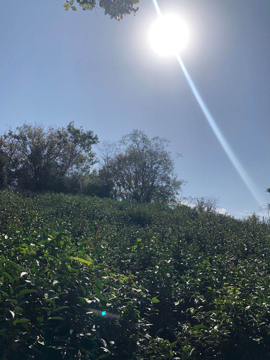 图片3.jpg 图片3.jpg