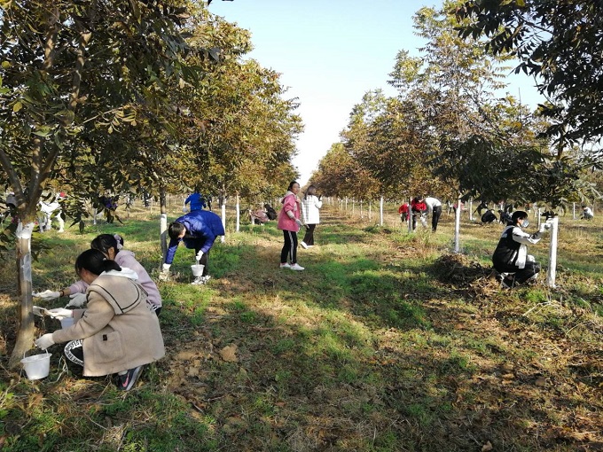 QQ图片20201116100904.jpg QQ图片20201116100904.jpg