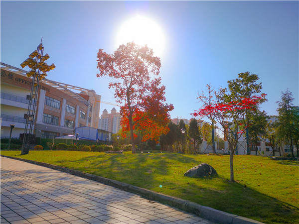 mtxx01.jpg mtxx01.jpg