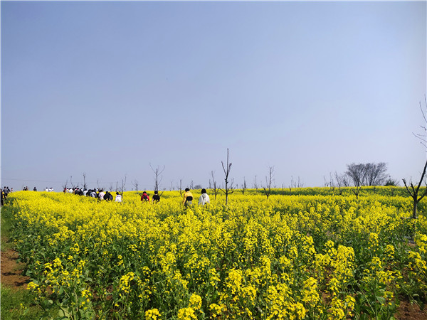 20IMG_20210325_135529.jpg 20IMG_20210325_135529.jpg