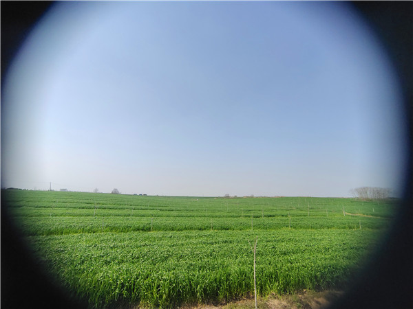 20IMG_20210325_144434.jpg 20IMG_20210325_144434.jpg