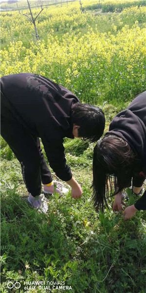 mmexport1617085965987.jpg mmexport1617085965987.jpg