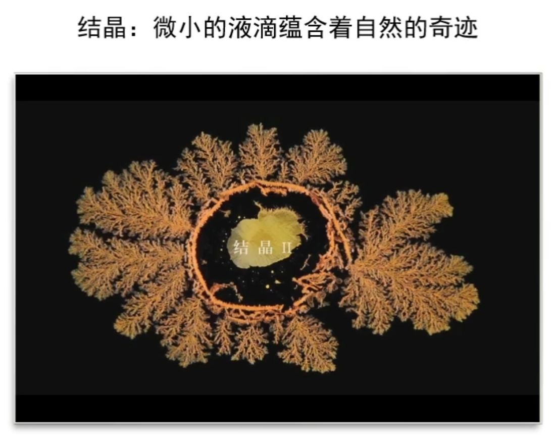 图片3.jpg 图片3.jpg