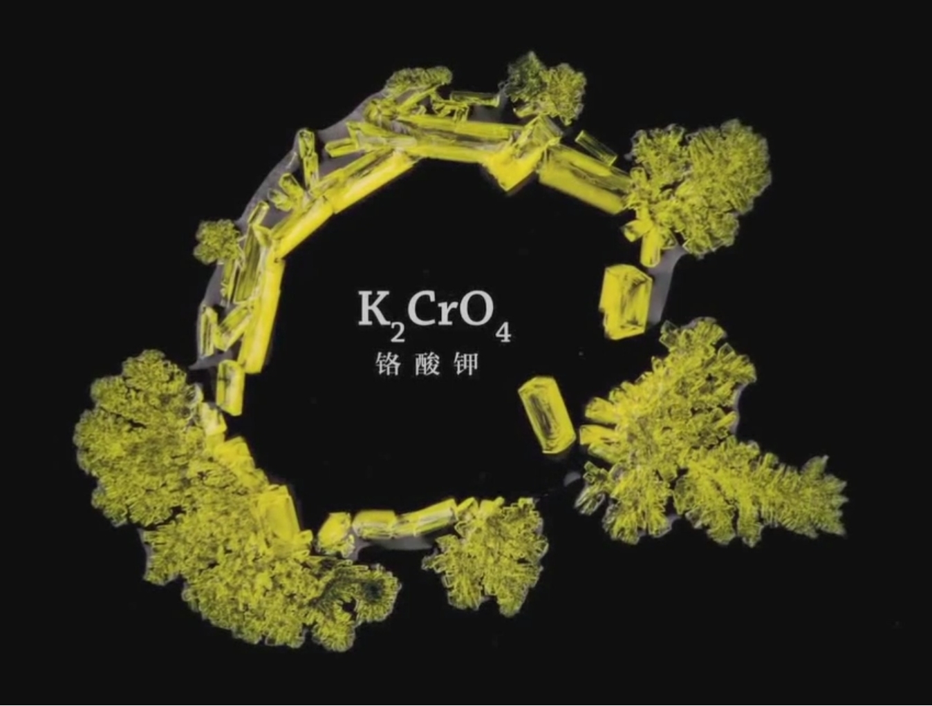 图片4.jpg 图片4.jpg