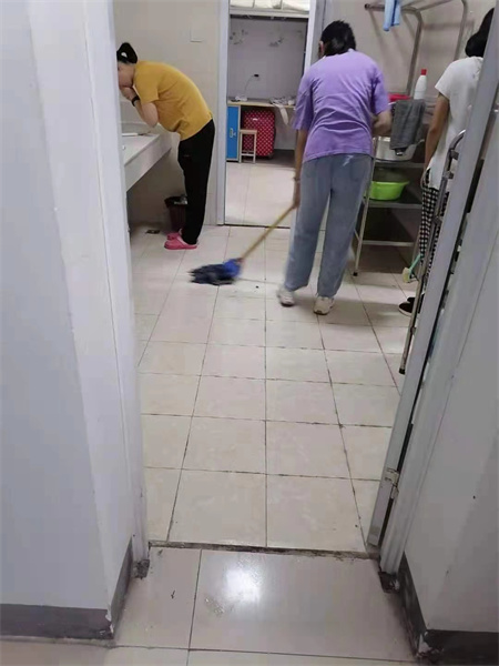 mmexport1630026859756.jpg mmexport1630026859756.jpg