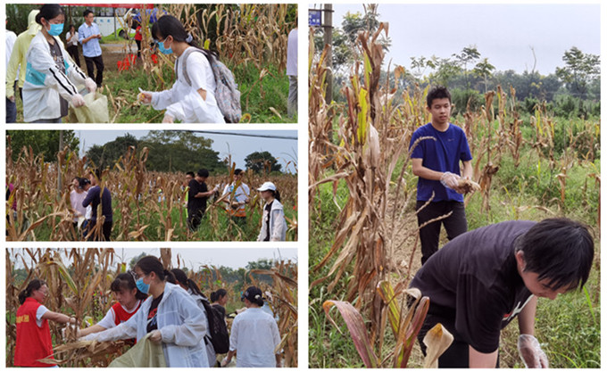 IMG_20210903_142002.jpg IMG_20210903_142002.jpg