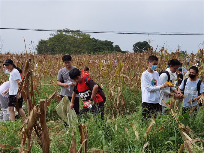 IMG_20210903_142232.jpg IMG_20210903_142232.jpg