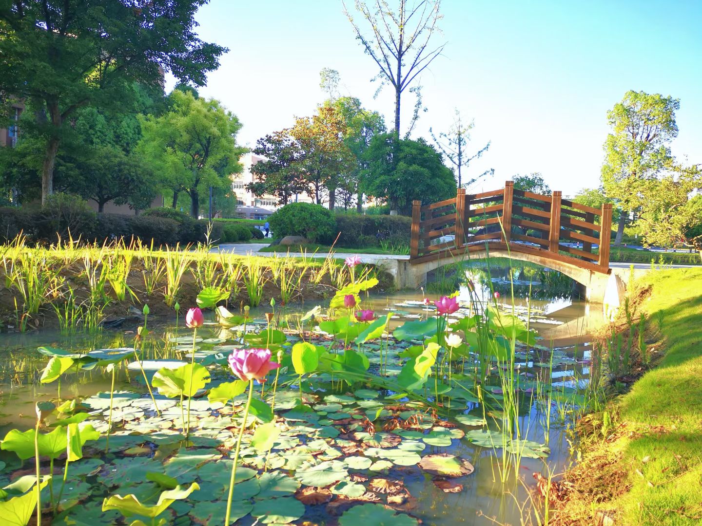 澜飞湖畔.JPG