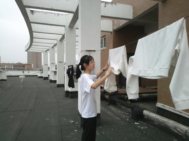 DSCF0071(1).jpg DSCF0071(1).jpg