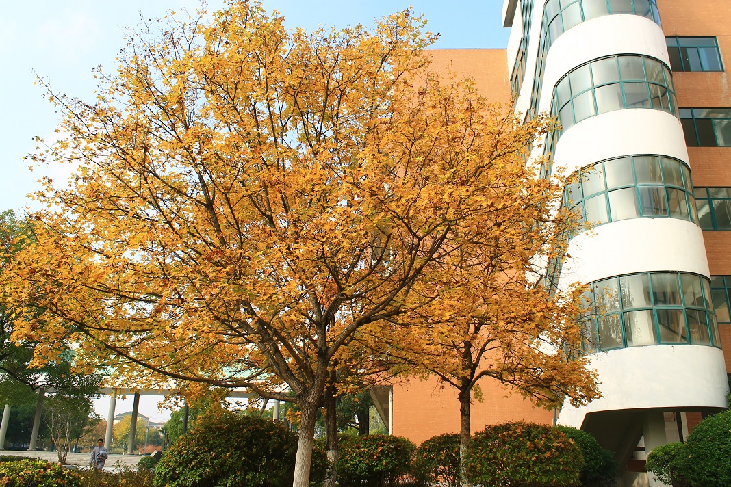 IMG_5294 - 副本.JPG