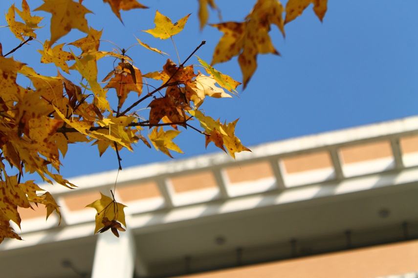 IMG_5305 - 副本.JPG