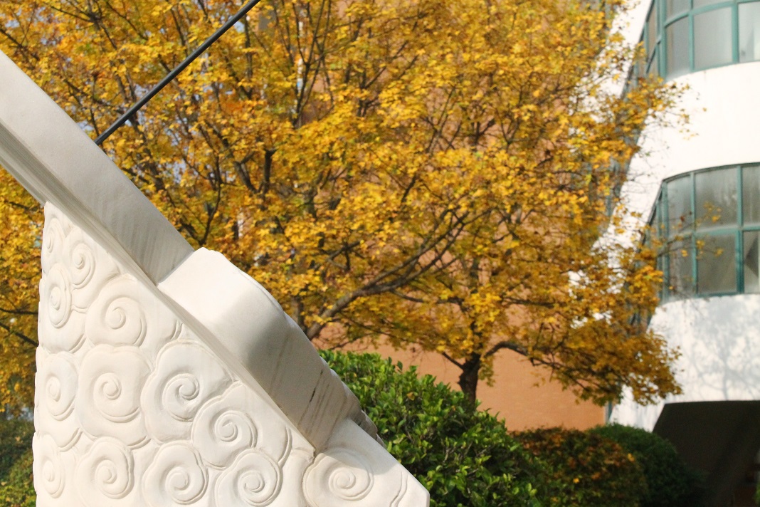 IMG_5291 - 副本 (2).JPG