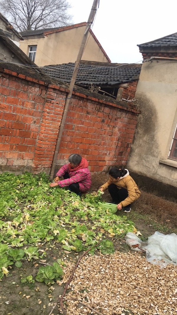 Cache_-50e6442af3207a01_副本.jpg Cache_-50e6442af3207a01_副本.jpg