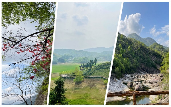 26 (1).jpg 26 (1).jpg