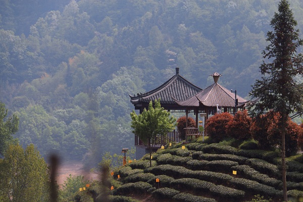 揽胜云烟 21班.jpg 揽胜云烟 21班.jpg