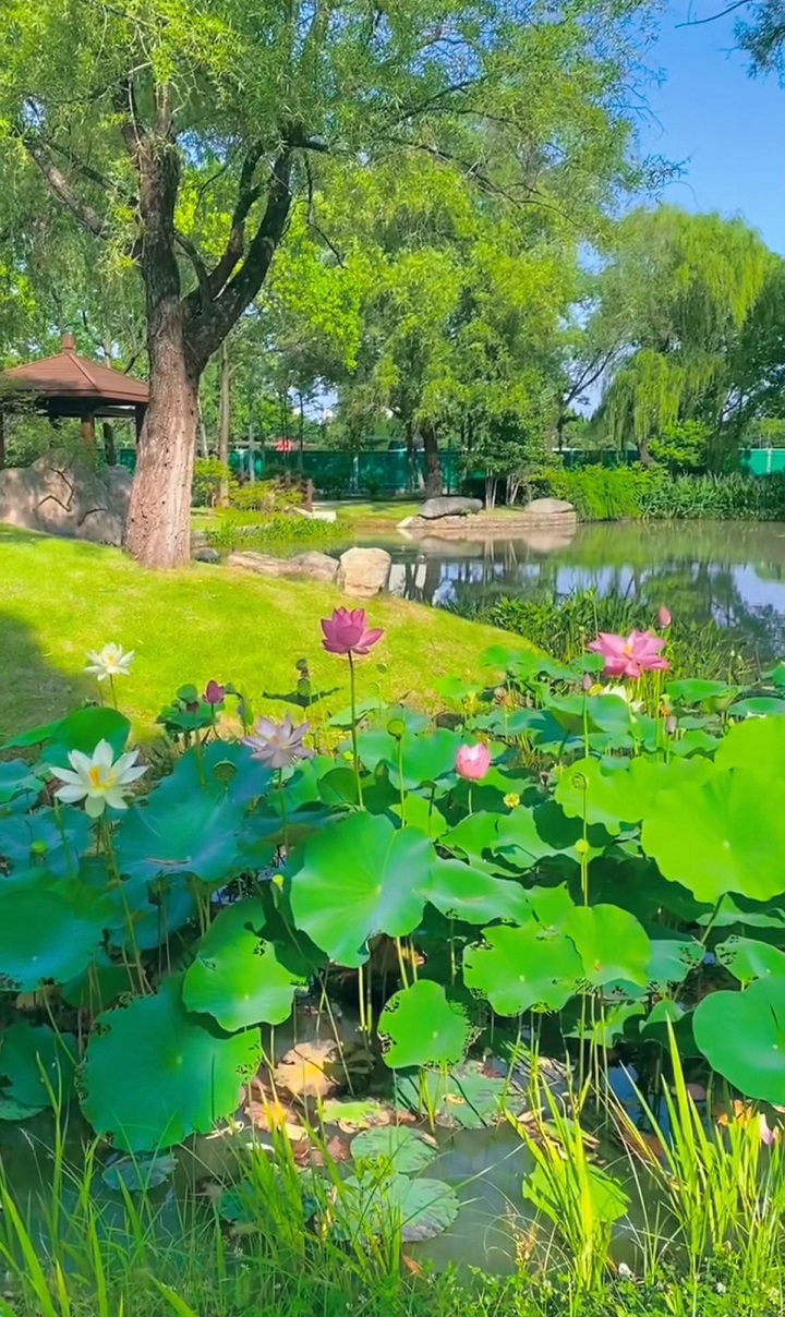 澜飞湖.jpg 澜飞湖.jpg