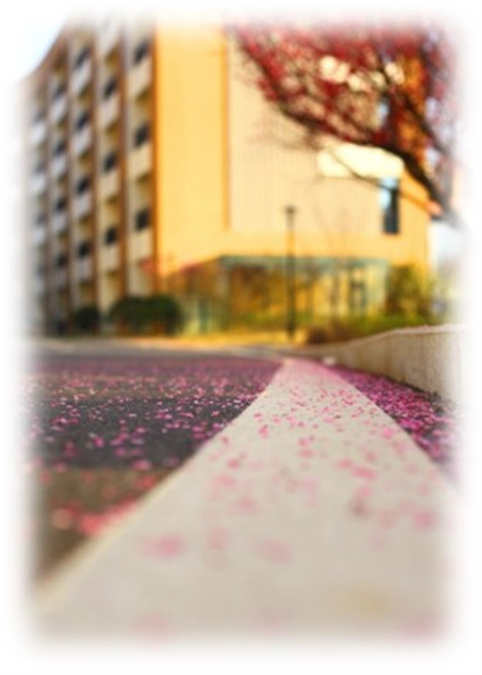 图片3.jpg 图片3.jpg