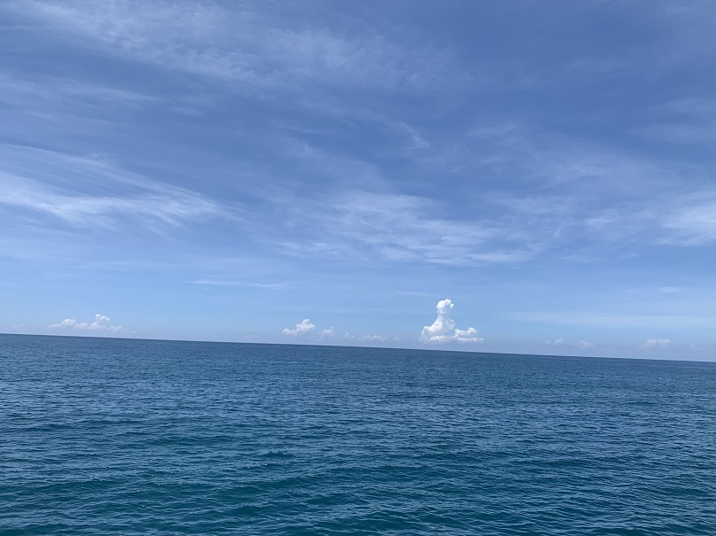 mmexport1690341549141.jpg mmexport1690341549141.jpg