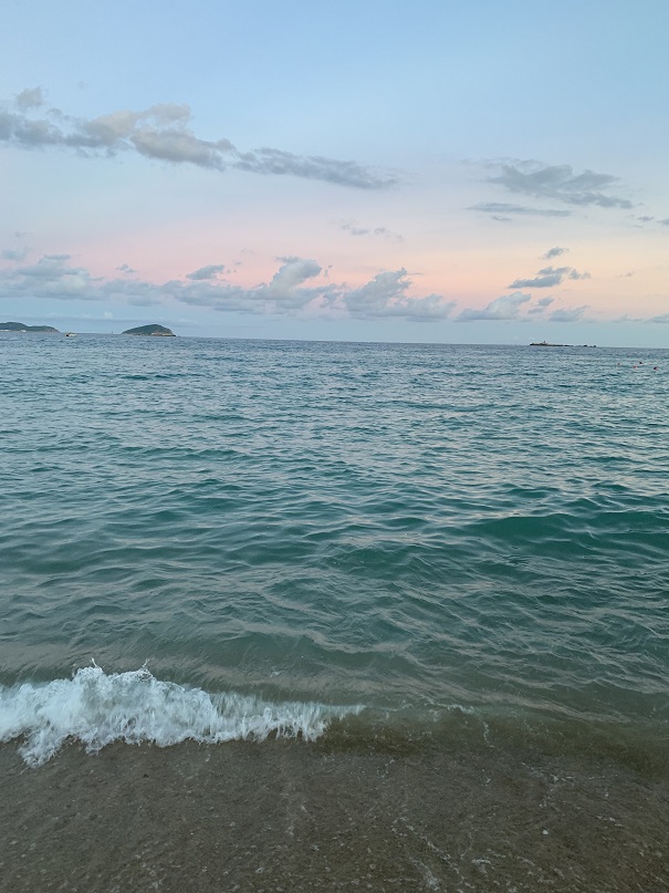 mmexport1690341900799.jpg mmexport1690341900799.jpg