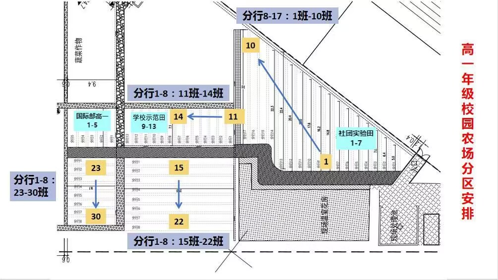 23-24校园农场地块划分示意图.jpg