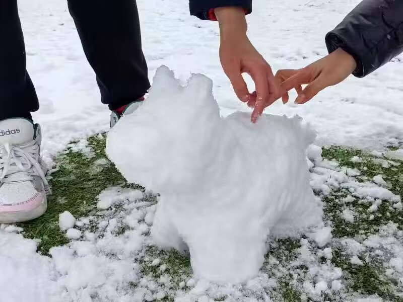 QQ图片20231219084929.jpg QQ图片20231219084929.jpg