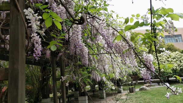 IMG_3911(20221202-120953)_副本.jpg IMG_3911(20221202-120953)_副本.jpg