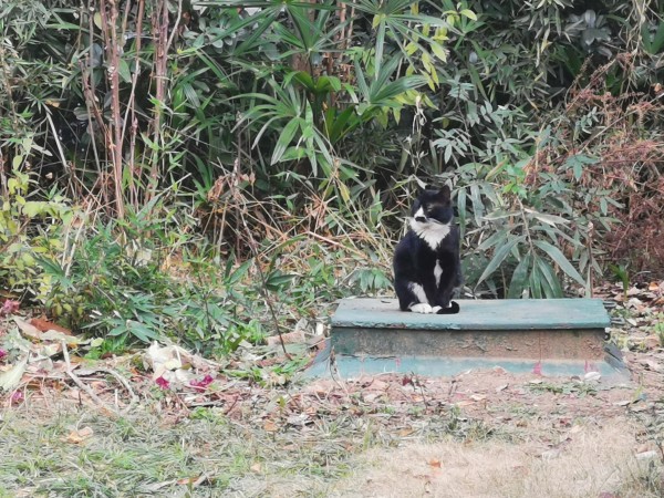 QQ图片20240909101331_副本.jpg QQ图片20240909101331_副本.jpg