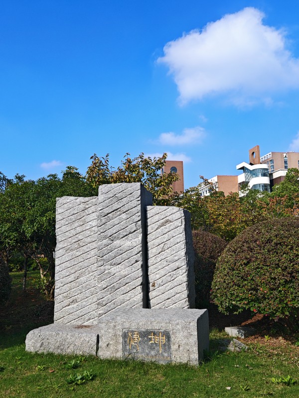 IMG_20241031_094115_副本.jpg