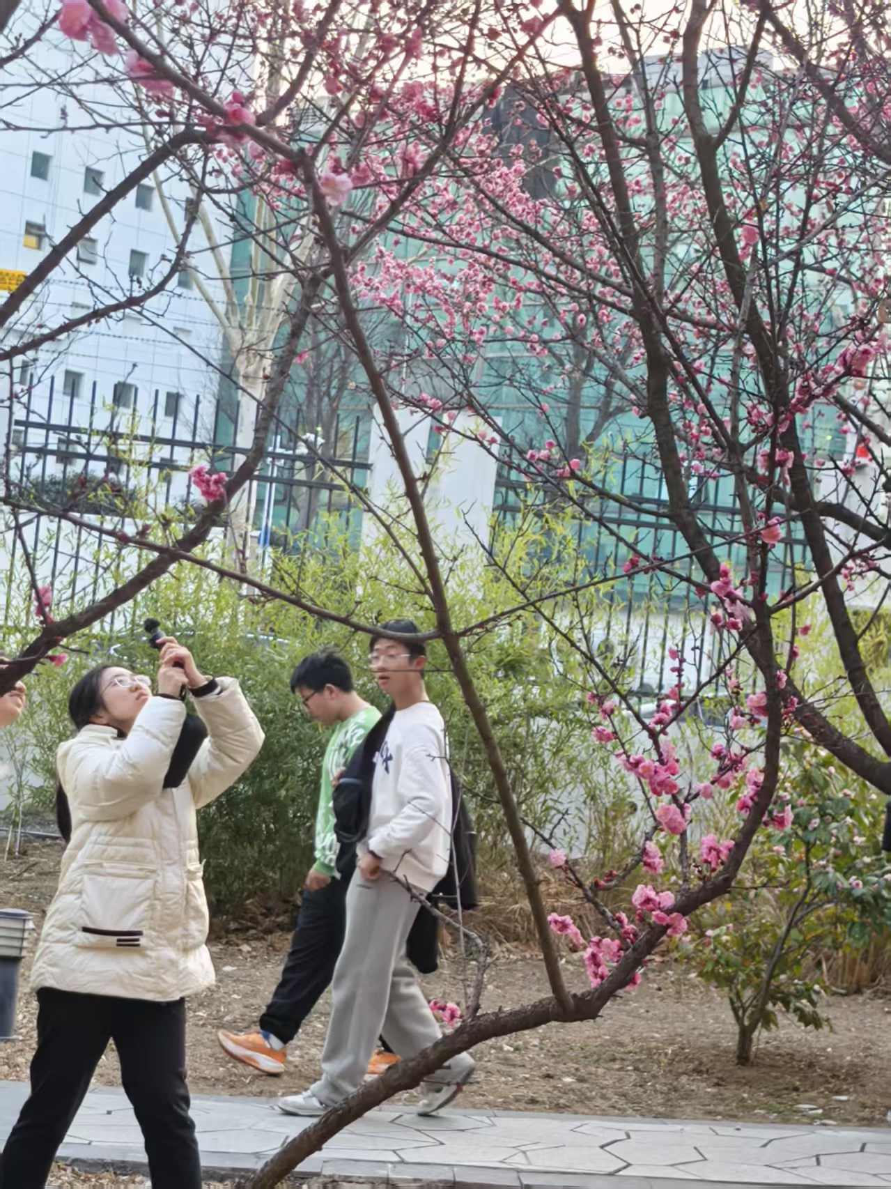 微信图片_20250228173408