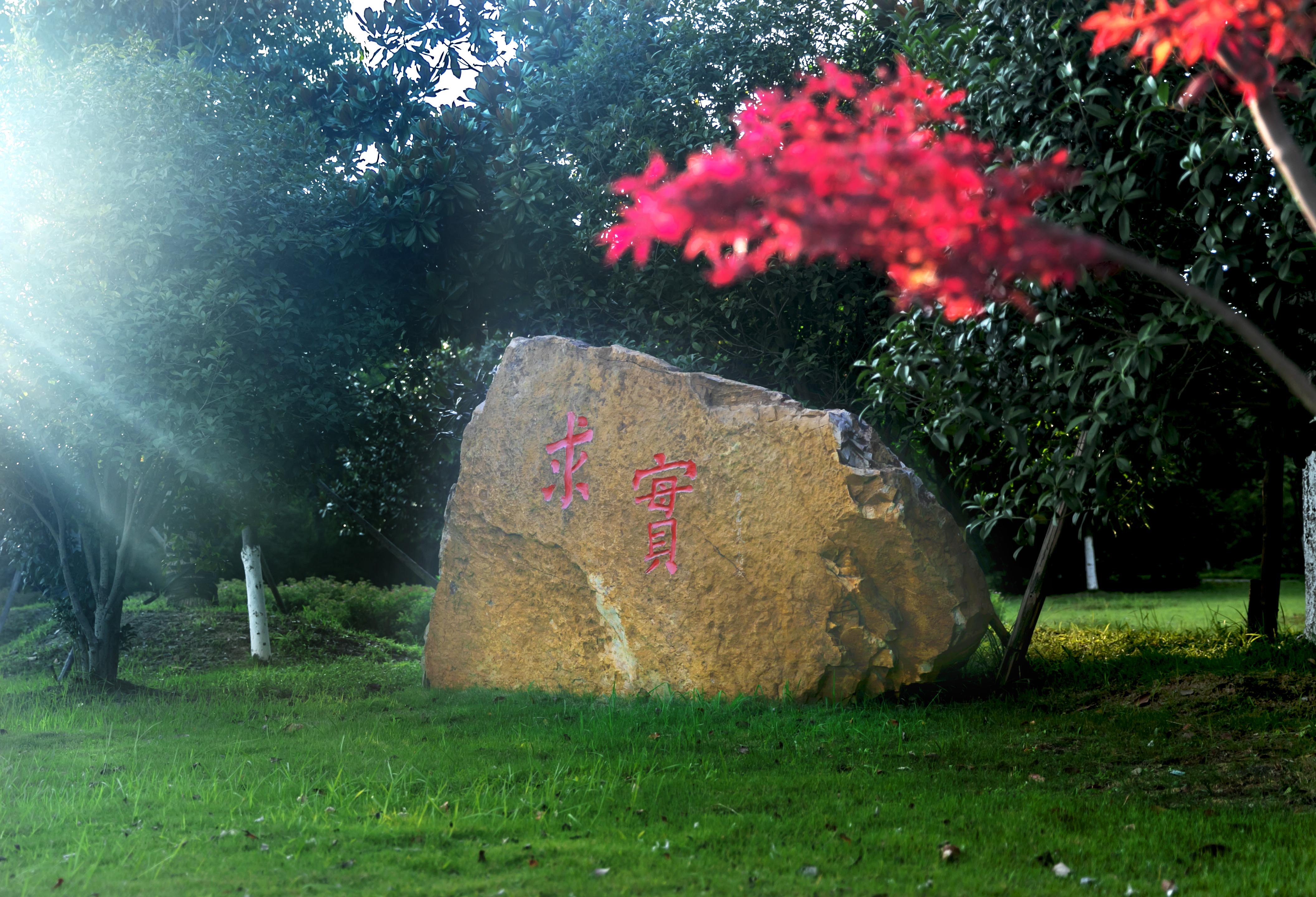 6385691506943228801589833