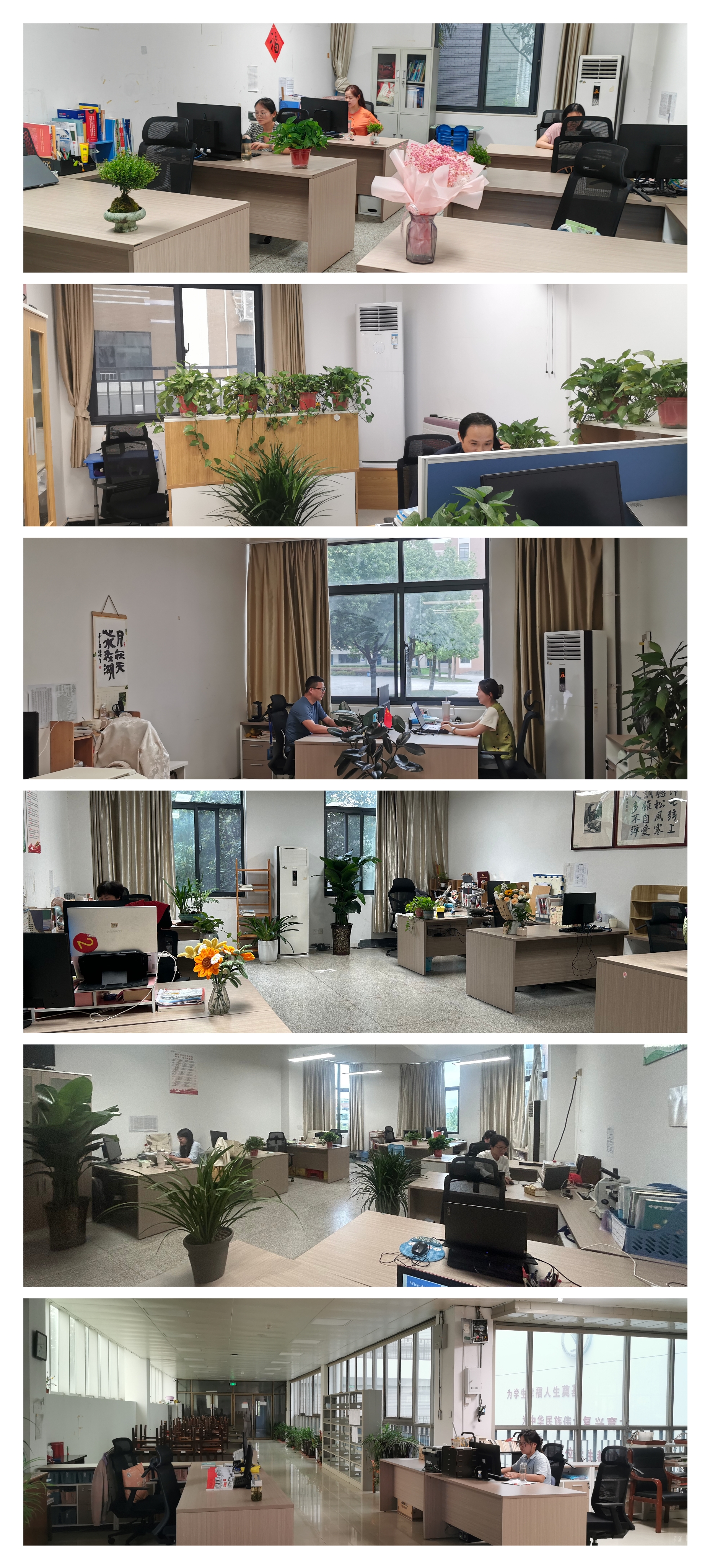 合肥一六八中学南区芝兰雅室剪影 合肥一六八中学南区芝兰雅室剪影