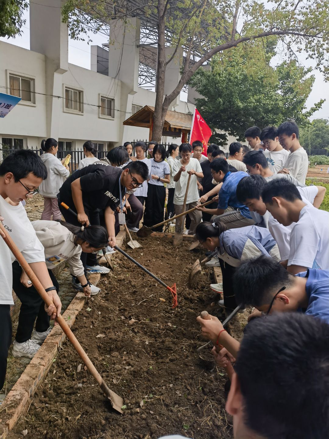 QQ图片20250926133344(9)