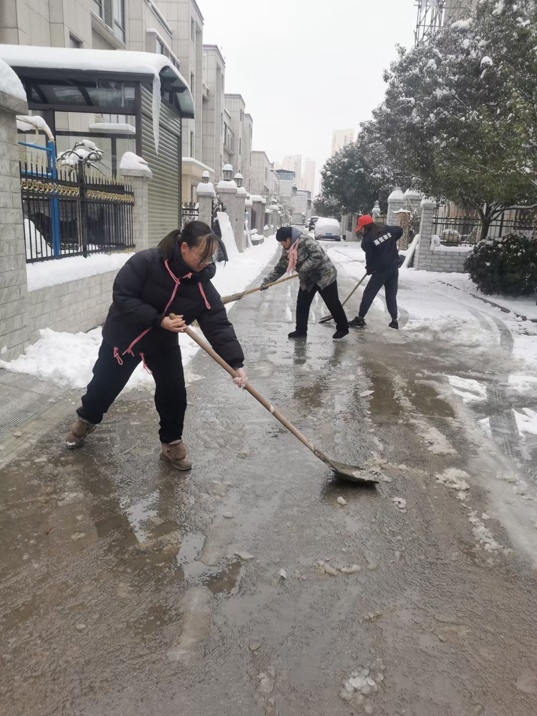 QQ图片20260311153635(78)