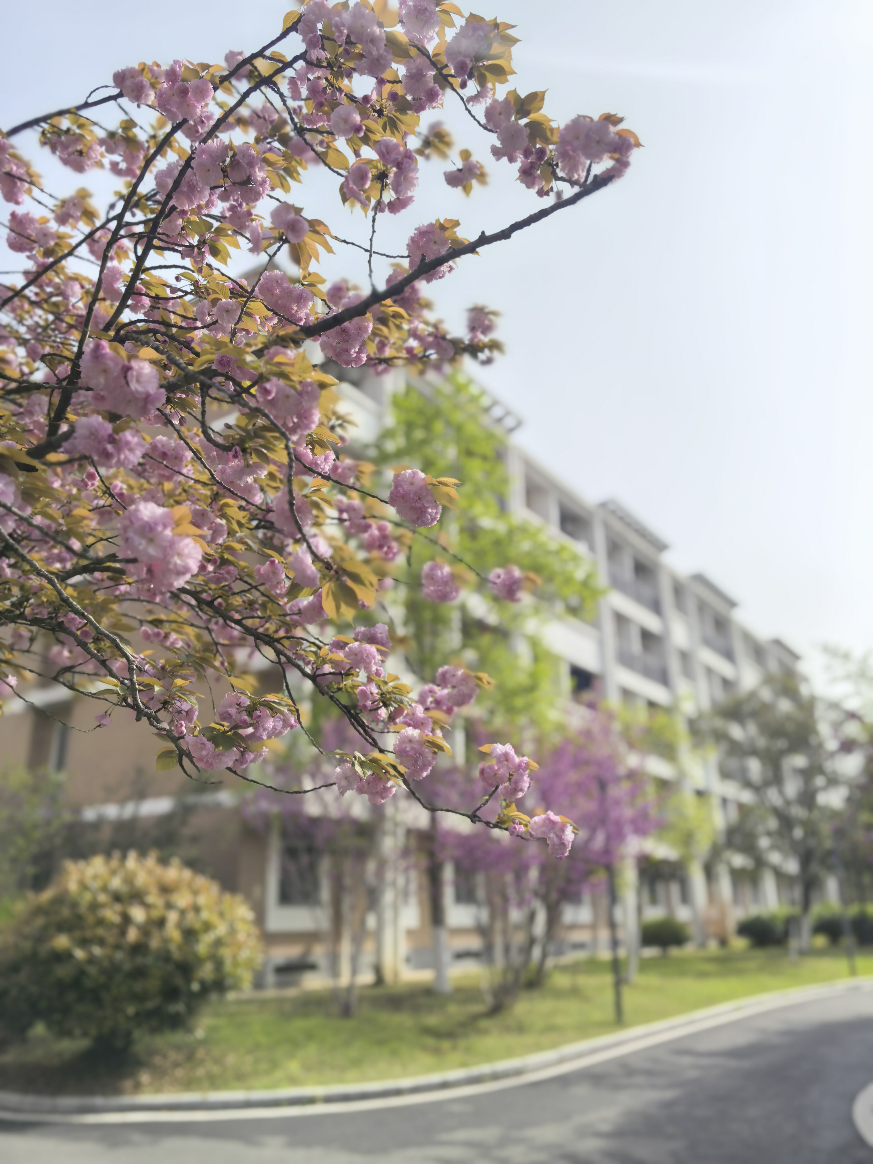 微信图片_20260409141623_90_295