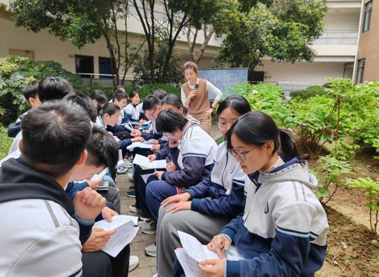 图片15