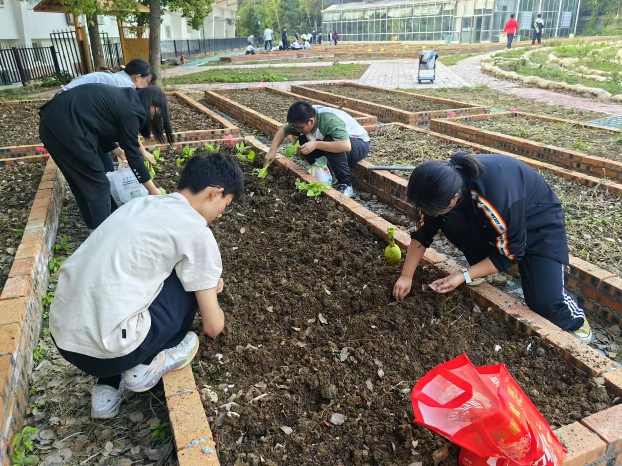 微信图片_20250105175430.jpg 微信图片_20250105175430.jpg